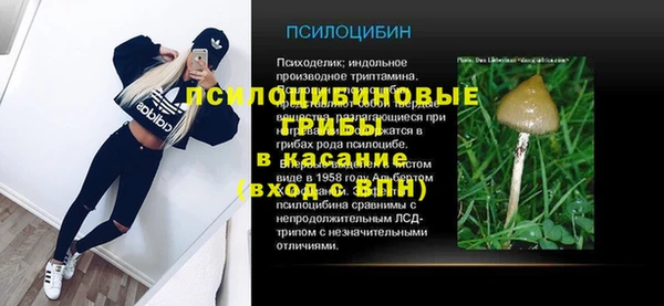 мескалин Верхний Тагил