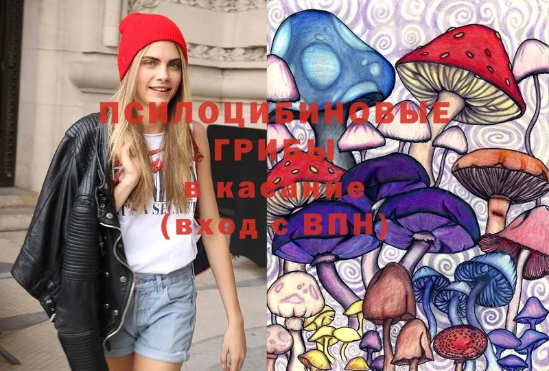 mega рабочий сайт  Воткинск  Галлюциногенные грибы Psilocybe 