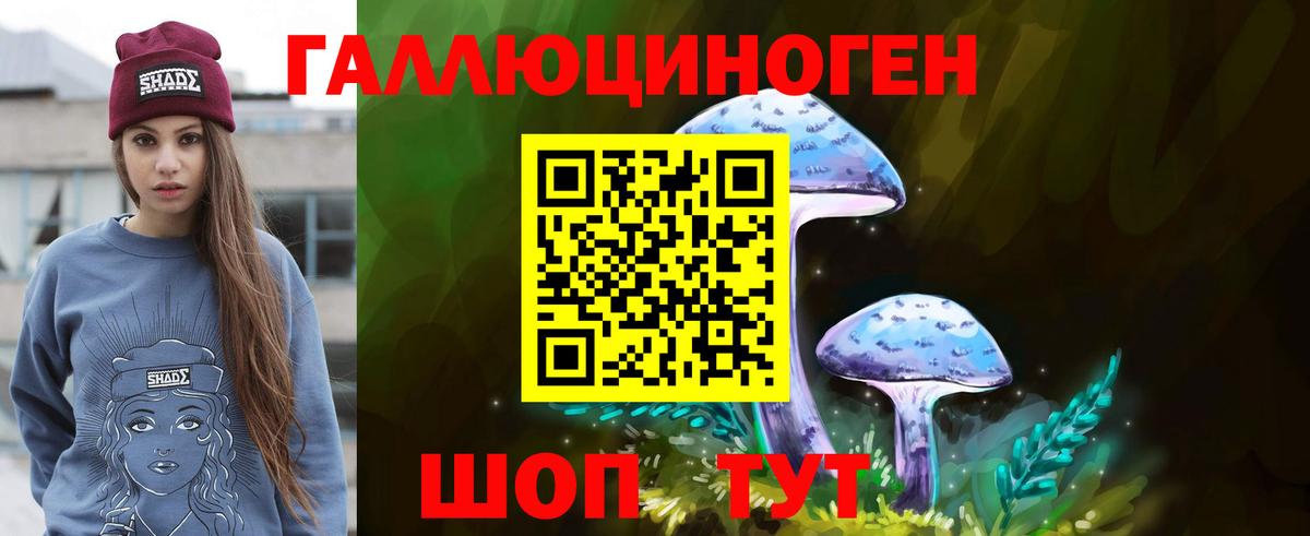 Псилоцибиновые грибы Psilocybe Воткинск