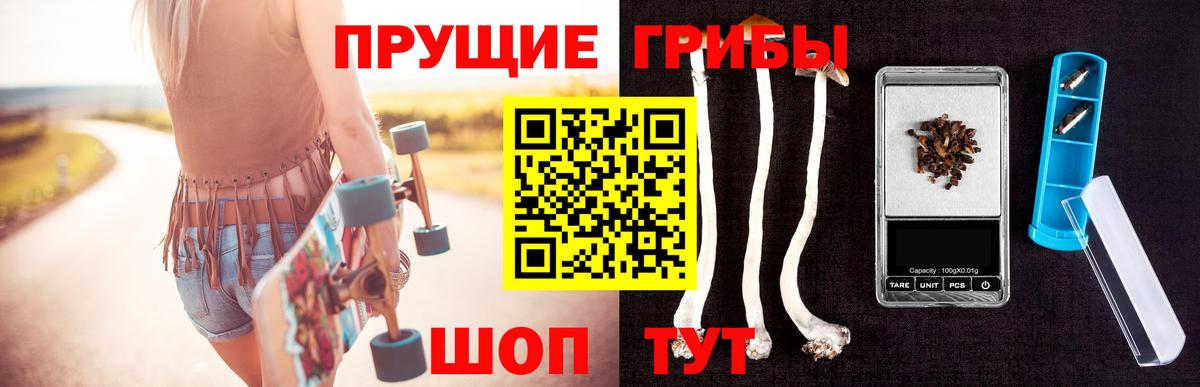 Псилоцибиновые грибы мухоморы  купить наркотик  Воткинск  Псилоцибиновые грибы GOLDEN TEACHER  Вход с VPN 